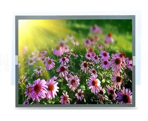 Industriële Rang 15in TFT-Kleurenlcd LCD van het Vertonings600:1 Touch screencomité ODM
