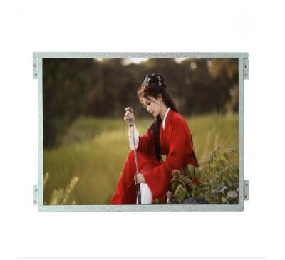 10.4 inch 1024 * 768 LCD-paneel IPS TFT vloeibare kristallen display In computergraphics Lvds