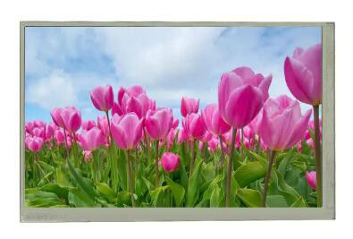 At070tn83 V.1 800x480 7 Duimvertoning met LCD van de Touch screenkleur Comités 300Nits 40Pins